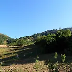 La Llerona *