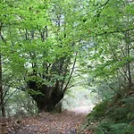 Tatil Evi La Llerona Belmonte De Miranda