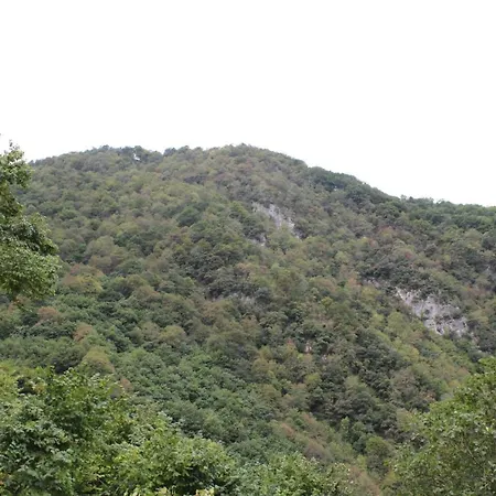 La Llerona * Belmonte De Miranda