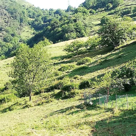 La Llerona * Belmonte De Miranda